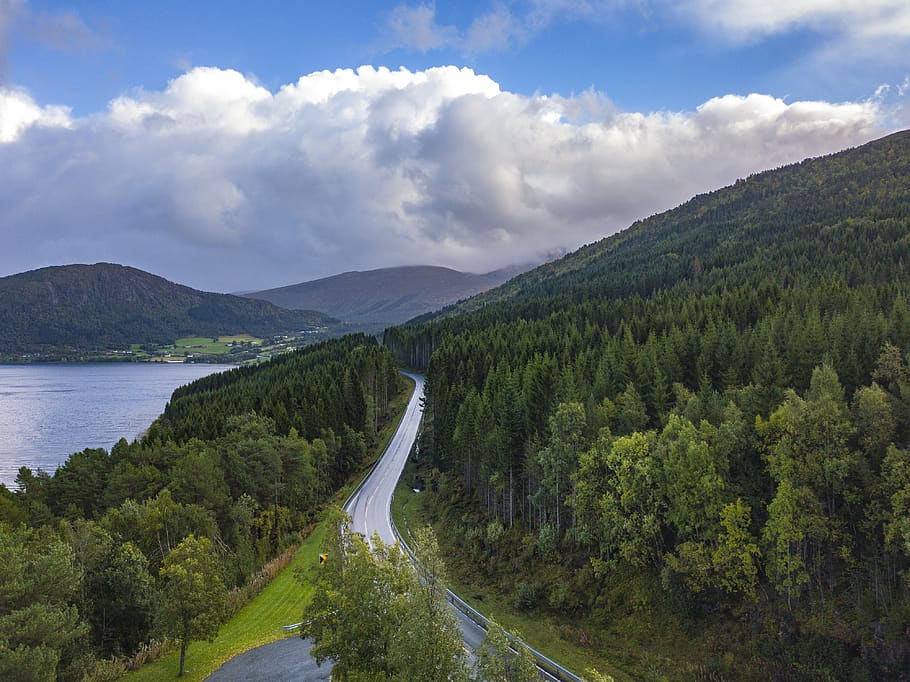 trees and road, landscape, norway, e136, vestnes, forest, green HD wallpaper