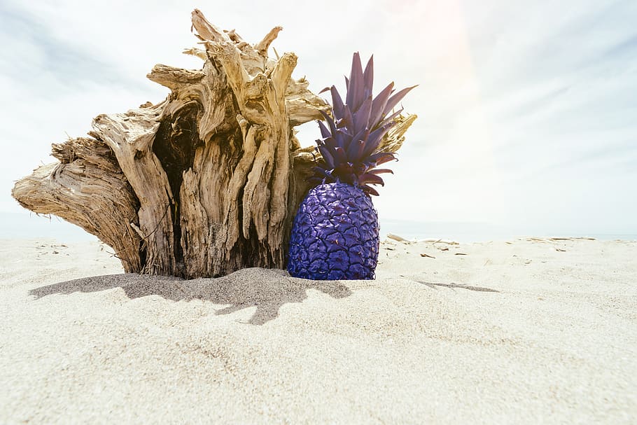 Purple Pineapple on Sand, beach, fruit, sea, seashore, shadow HD wallpaper