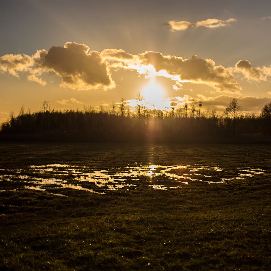 spring, sunrise, nature, landscape, morning, grass, sky, cloud - sky HD wallpaper