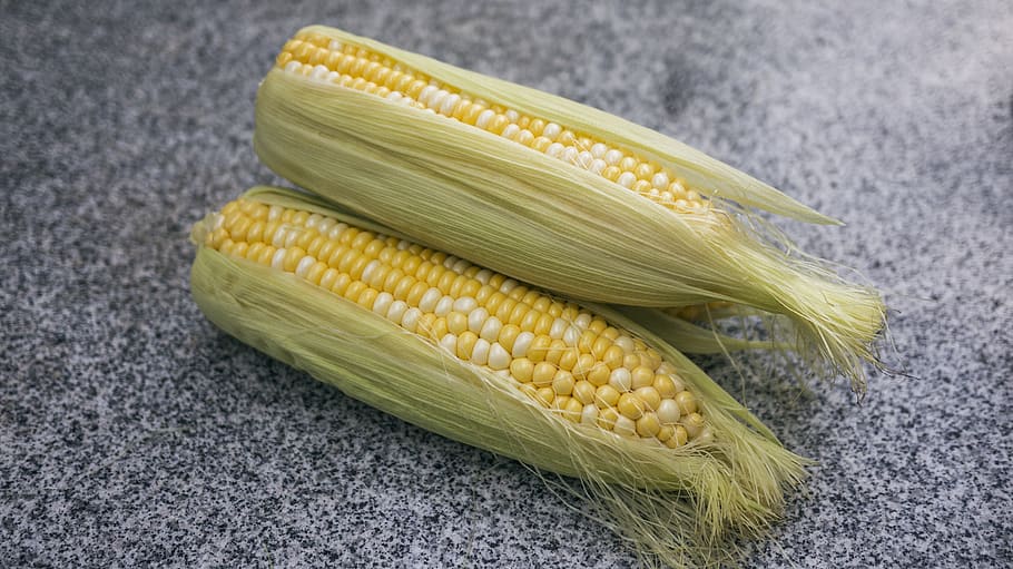 plant, food, vegetable, corn, reptile, animal, snake, produce HD wallpaper