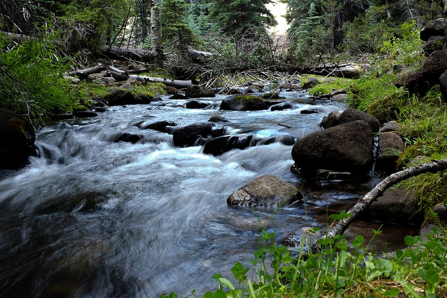 river, stream, long exposure, nature, water, plant, flowing water HD wallpaper