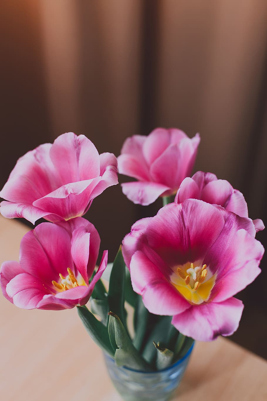 red and pink petal flowers on clear drinking glass, plant, geranium, HD wallpaper