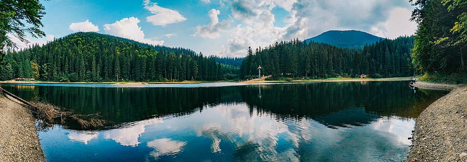 ukraine, synevyr, water, reflection, tree, lake, scenics - nature HD wallpaper