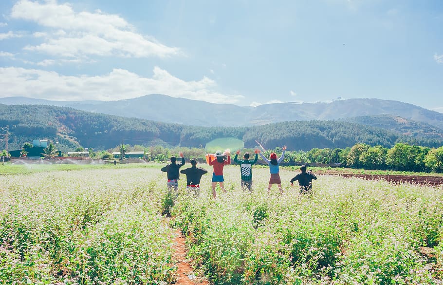 People Standing on Grass Field Raising Their Hands While Facing Mountains HD wallpaper