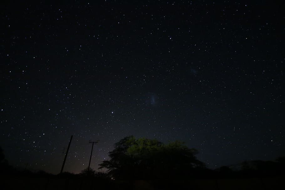 green tree, nighttime, space, sky, galaxy, star, night sky, landscape HD wallpaper