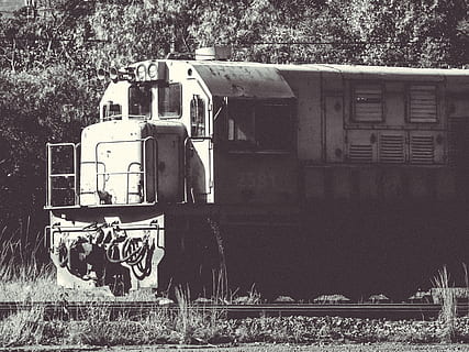 brazil, poços de caldas, forest, train, rail, railway, metro HD wallpaper