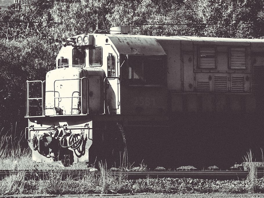 brazil, poços de caldas, forest, train, rail, railway, metro HD wallpaper