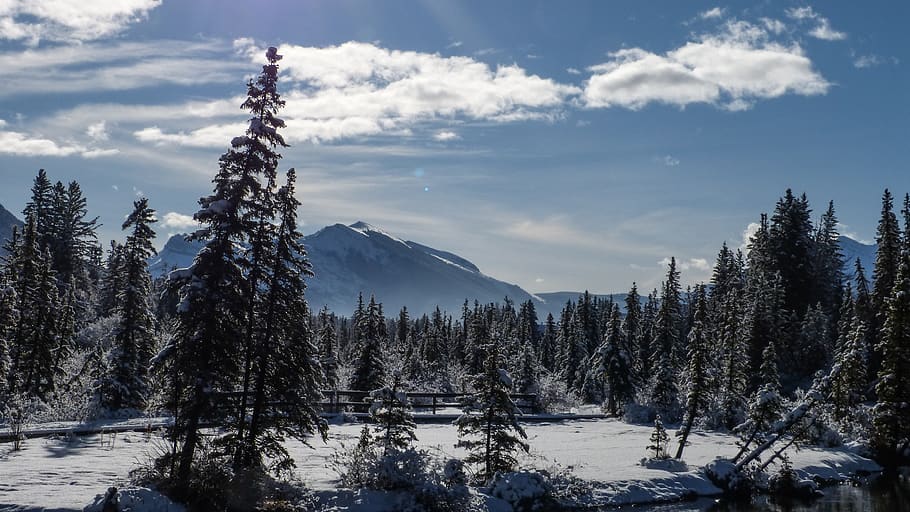 canada, canmore, snow, glitter, winter, cold, ice, ze, zing HD wallpaper