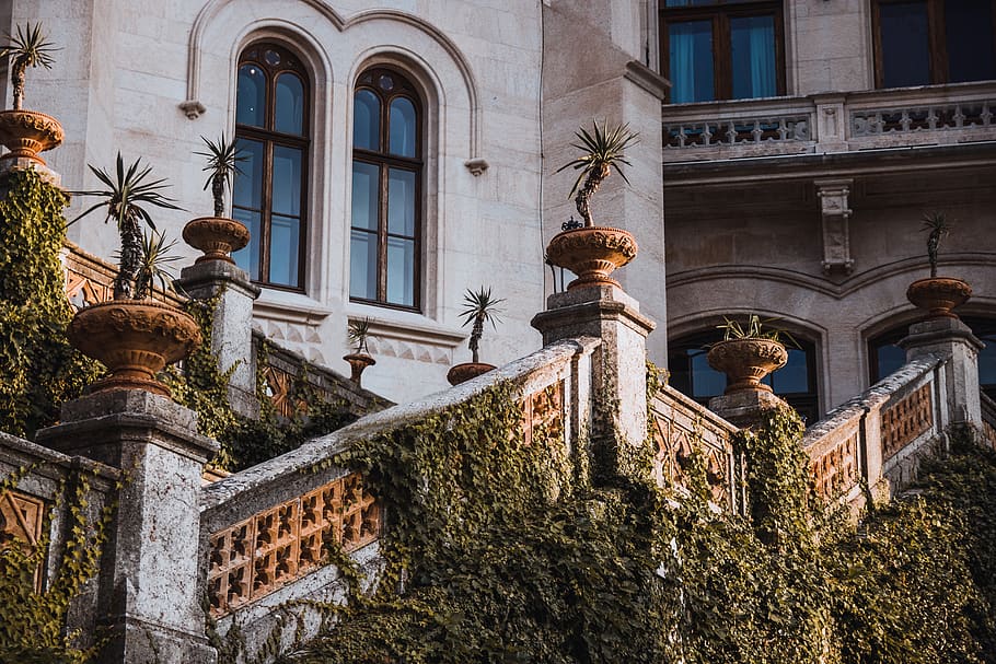 Potter Plants on Stairs of Building, architecture, balcony, exterior HD wallpaper