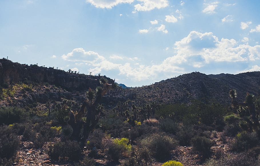 desert, nevada, sky, mountain, beauty in nature, scenics - nature HD wallpaper