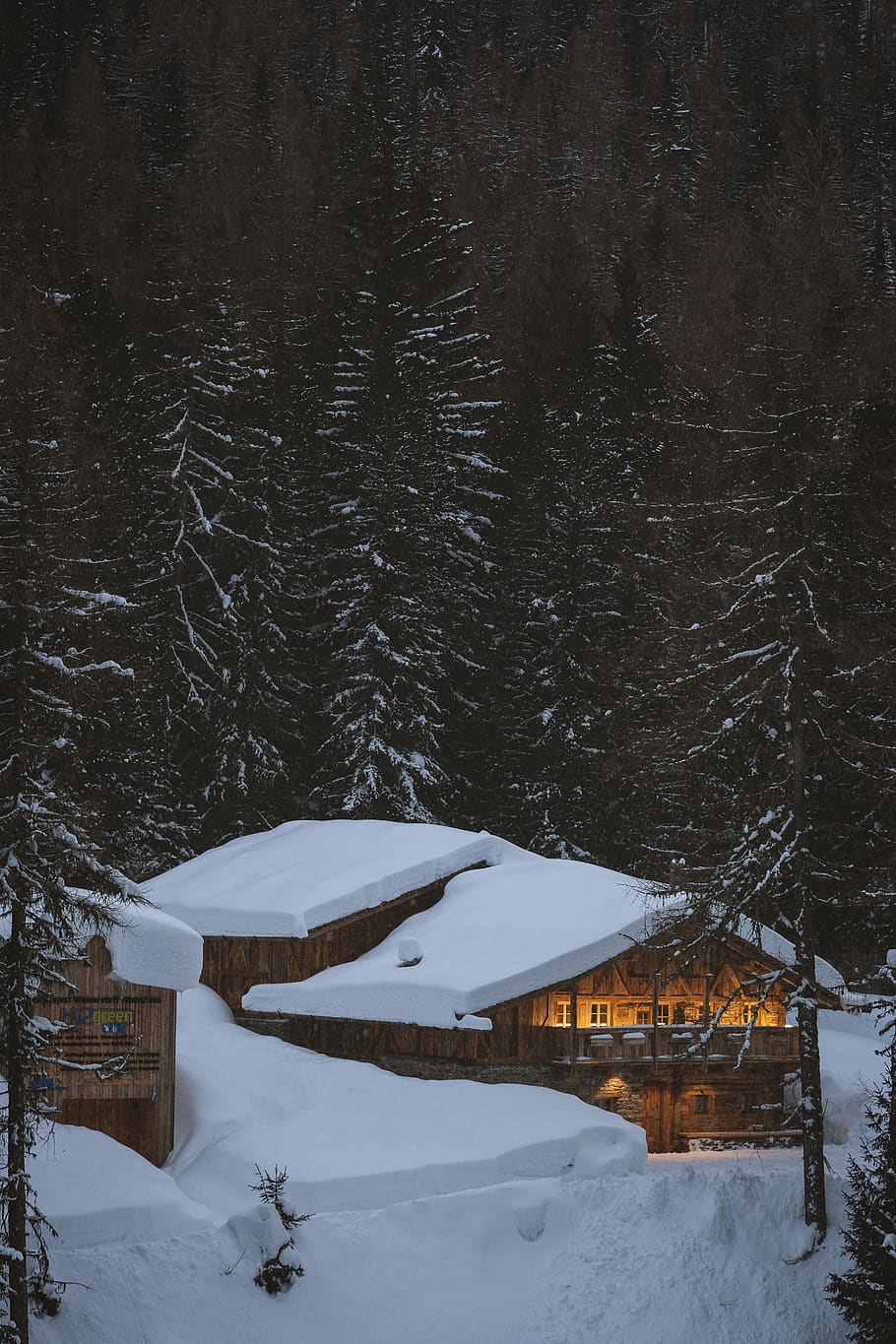 snow-covered house, plant, tree, housing, building, abies, fir HD wallpaper