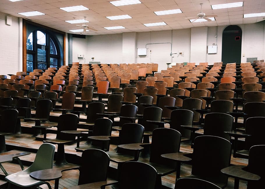 Room Chair Lot, audience, auditorium, chairs, classroom, education HD wallpaper