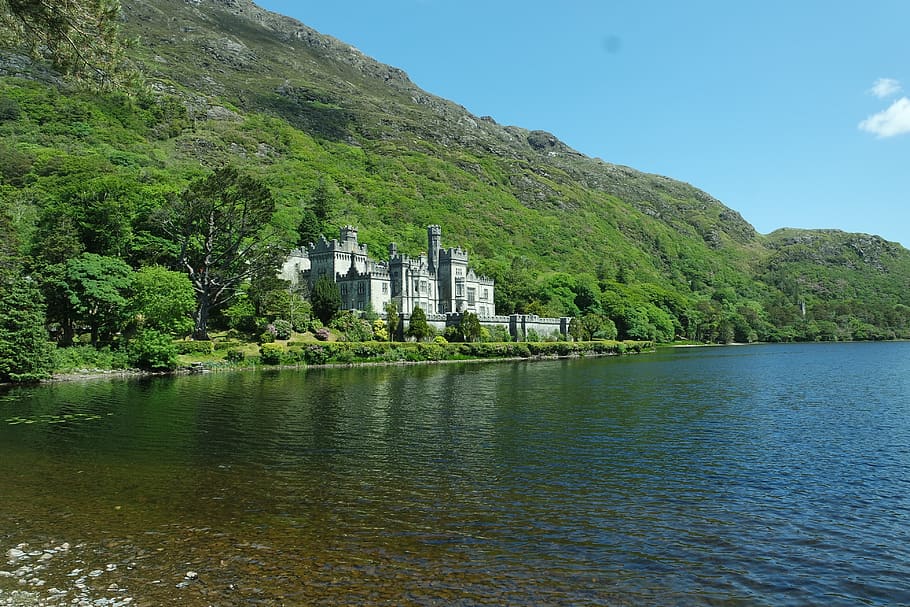 ireland, tree, lake, water, waterfront, sky, plant, building exterior HD wallpaper