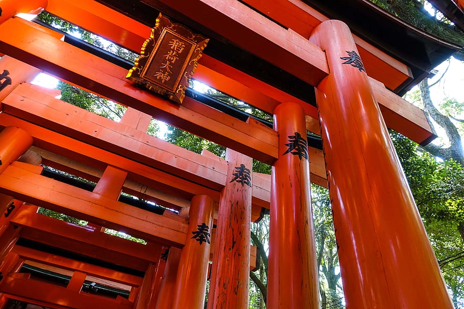 fushimi inari-taisha, japan, kyoto, shrine, fushimi ward, low angle view, HD wallpaper