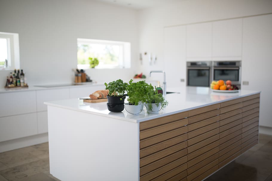 Green Leafed Plants On Kitchen Island, counter, indoors, interior design HD wallpaper