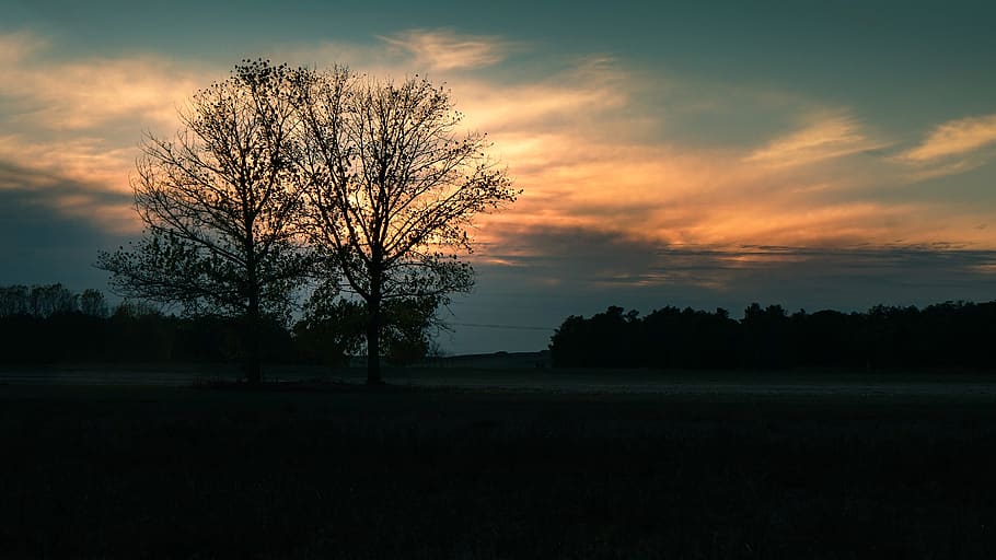 dusk, tree, light, sky, landscape, clouds, sunset, cloud - sky HD wallpaper