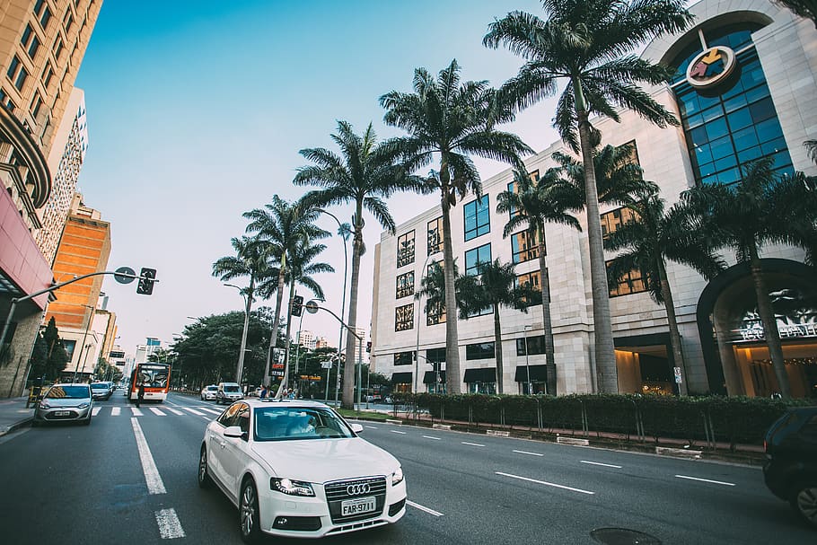 White Audi Sedan on Gray Concrete Road Near Green Trees Surround by Concrete Buildings HD wallpaper
