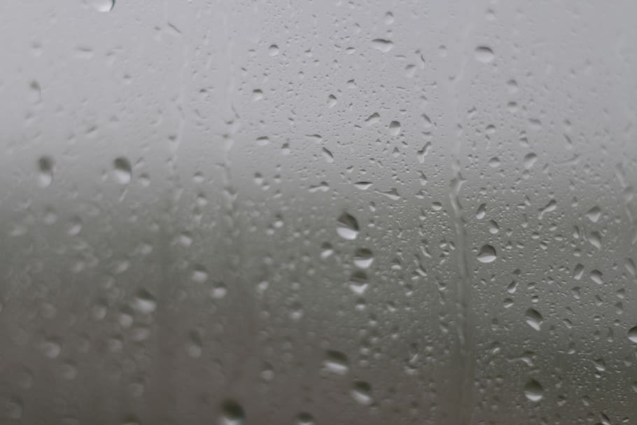 Rainfall on a window., niederlande, den haag, drops, wet, water HD wallpaper