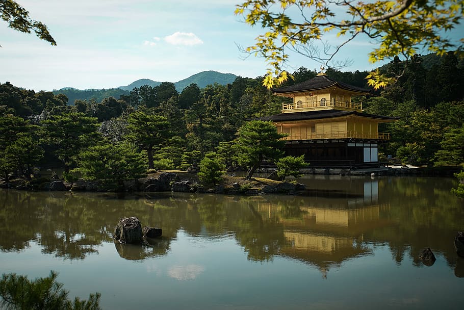 gold cabin in forest, water, nature, outdoors, lake, pond, fir HD wallpaper