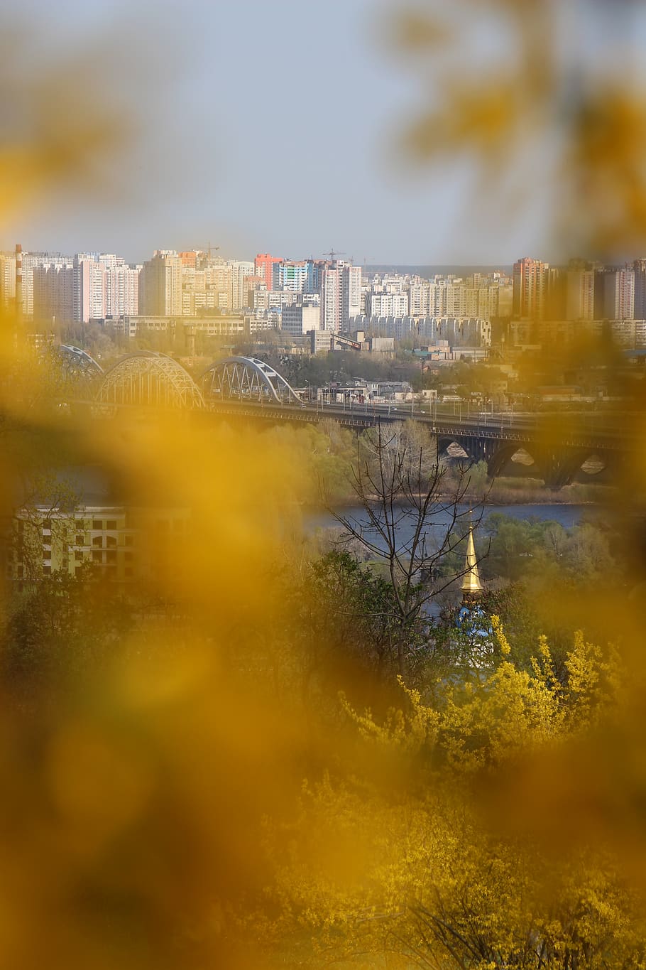 kyiv, ukraine, yellow, trees, kiev, buildings, bridge, city, HD wallpaper