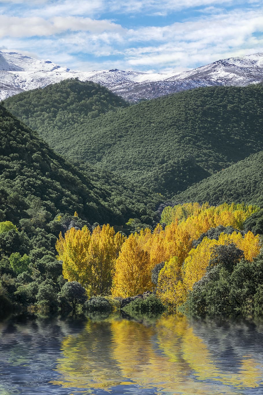autumn, trees, reflection, landscape, forest, colorful, beauty in nature HD wallpaper
