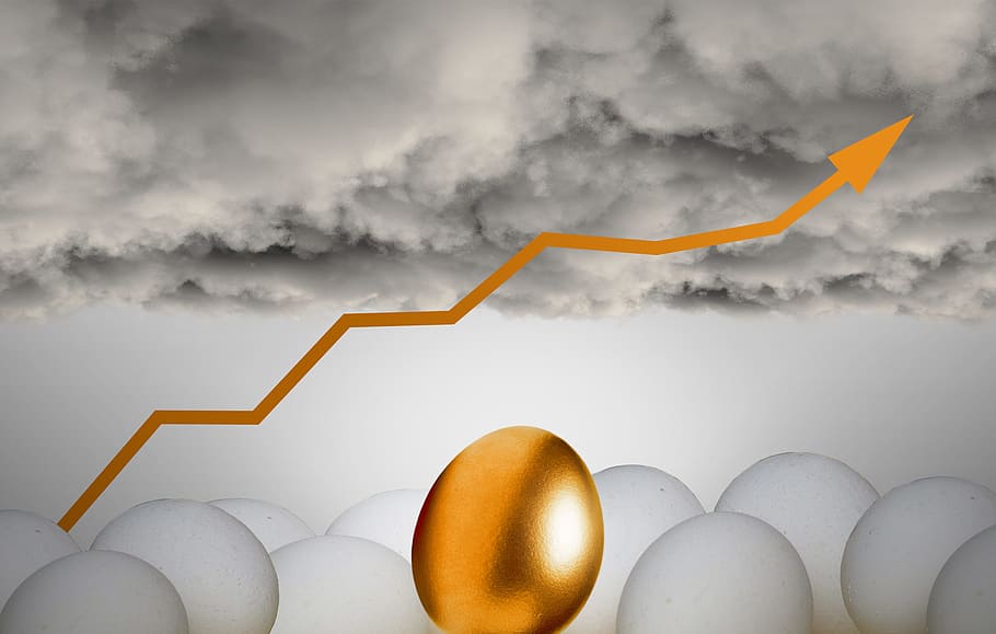 Golden Egg - Savings - Investments, different, eggs, animal, background, HD wallpaper