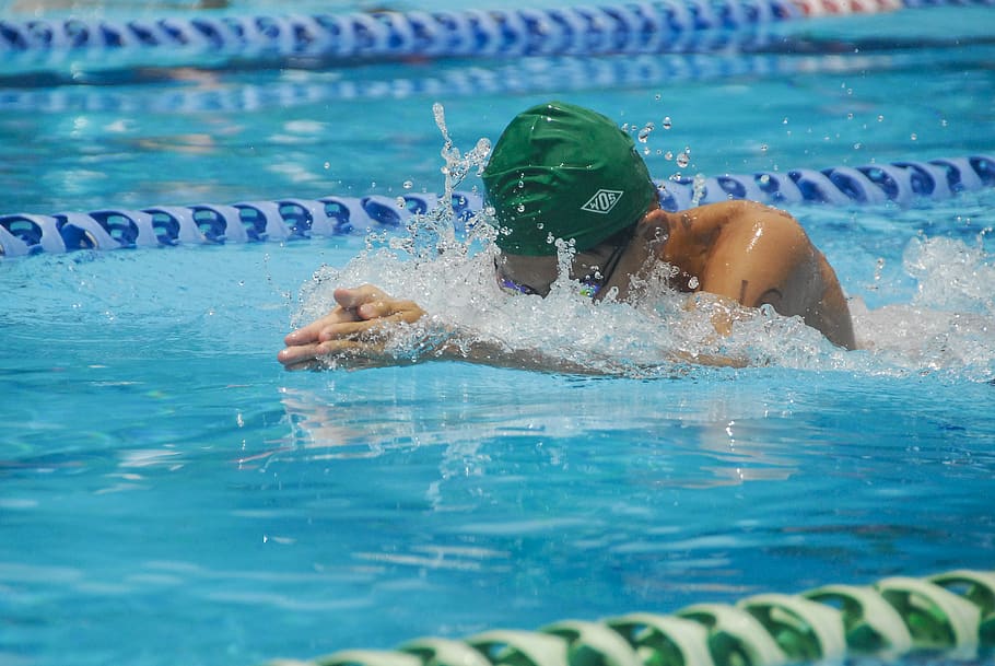 Shallow Focus Photo of Person Swimming, athlete, diving, fun HD wallpaper
