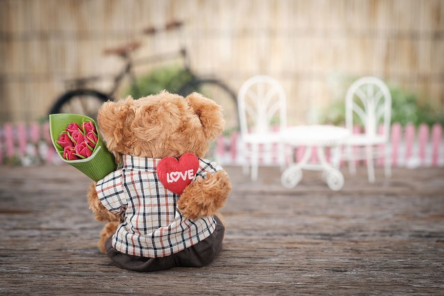 Brown Bear Plush Toy Holding Red Rose Flower, beautiful, concept, HD wallpaper