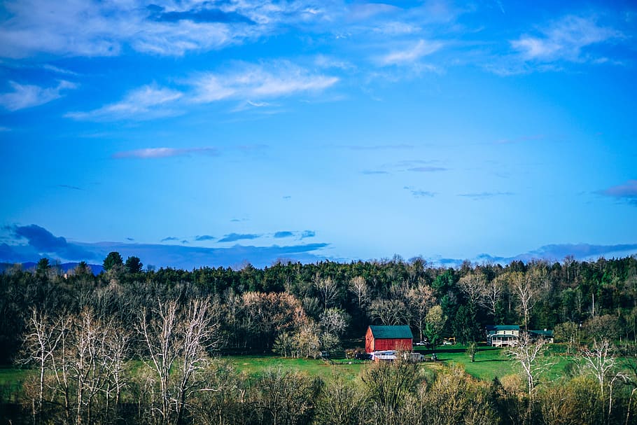 Giant Red Barn, sky, plant, cloud - sky, tree, nature, no people HD wallpaper