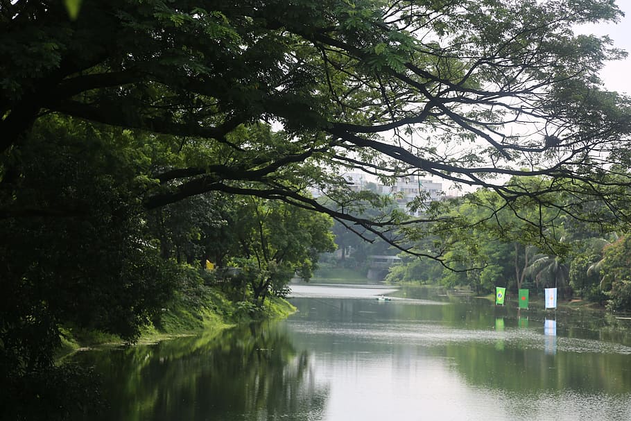 flags, river, bangladesh, nature, water, landscape, tree, plant, HD wallpaper