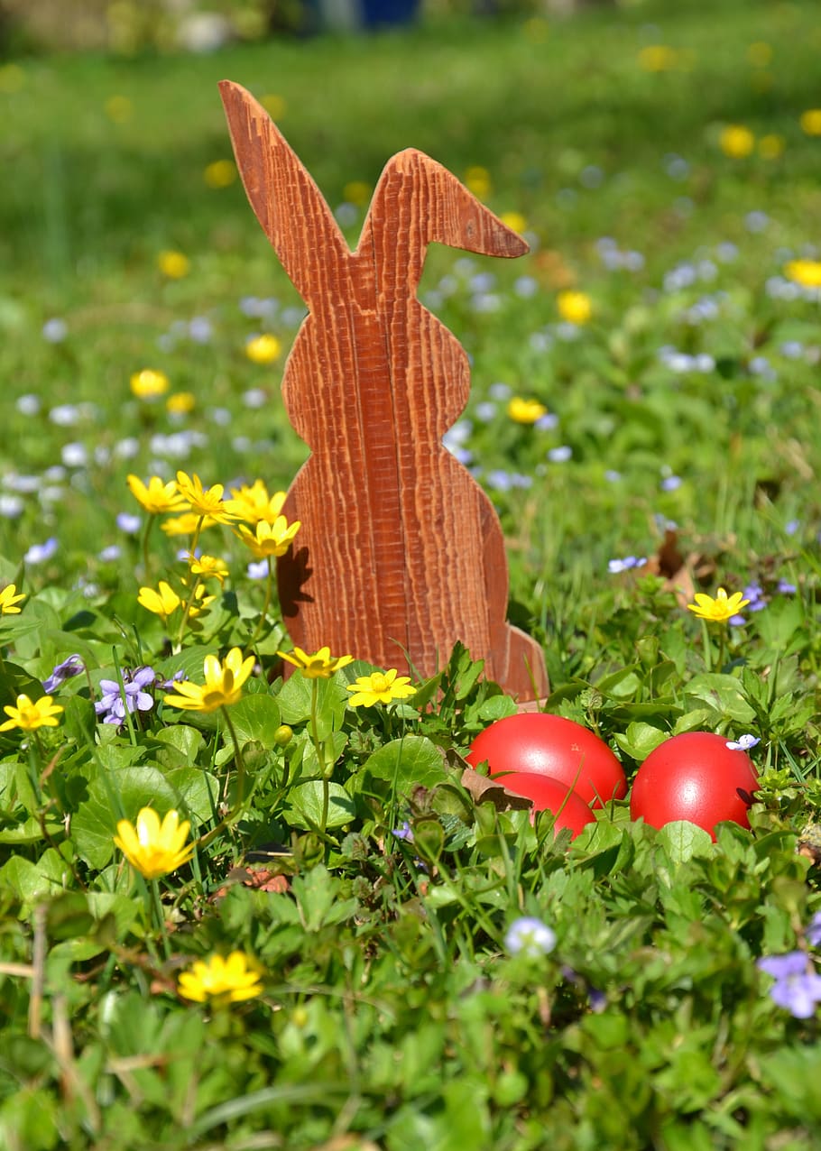 easter, hare, easter bunny, spring, grass, nature, egg, easter theme HD wallpaper