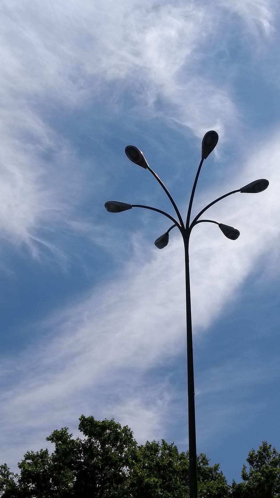 spain, madrid, sky, cloud - sky, low angle view, tree, plant HD wallpaper