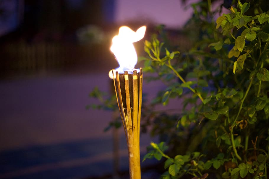 torch, vacations, green, summer, beach, grill party, beach party HD wallpaper
