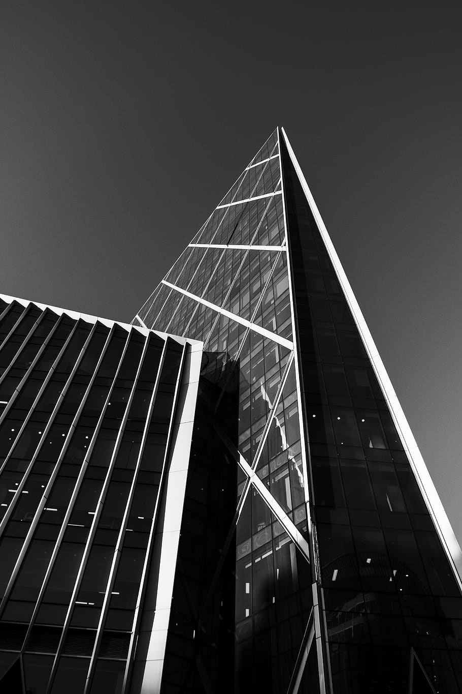 Hd Wallpaper Grayscale Photo Of Building Office Building