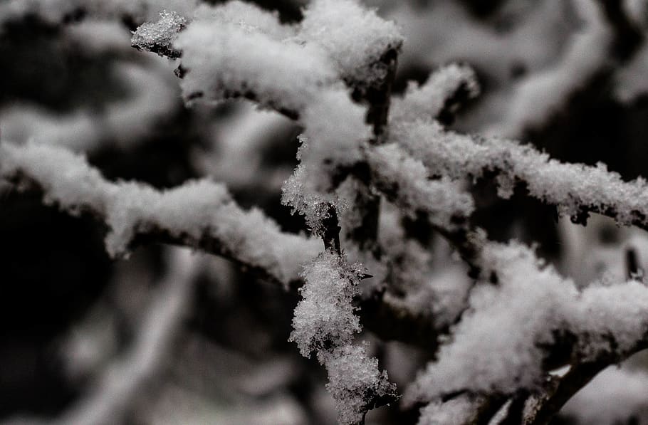 snowflake, macro, ice crystal, icecle, focus, design, canon HD wallpaper