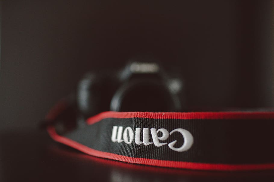 canon, nikon, camera, text, close-up, technology, western script HD wallpaper