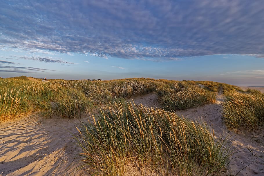 denmark, landscape, summer, vacations, north sea, sun, clouds HD wallpaper