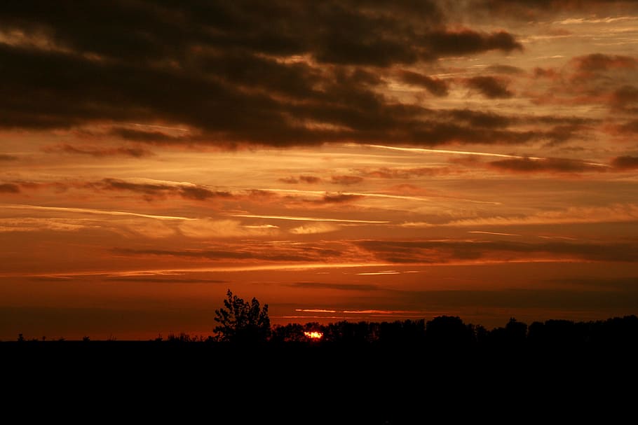 sun, sunset, orange, sky, cloudy, silhouette, cloud - sky, beauty in nature HD wallpaper