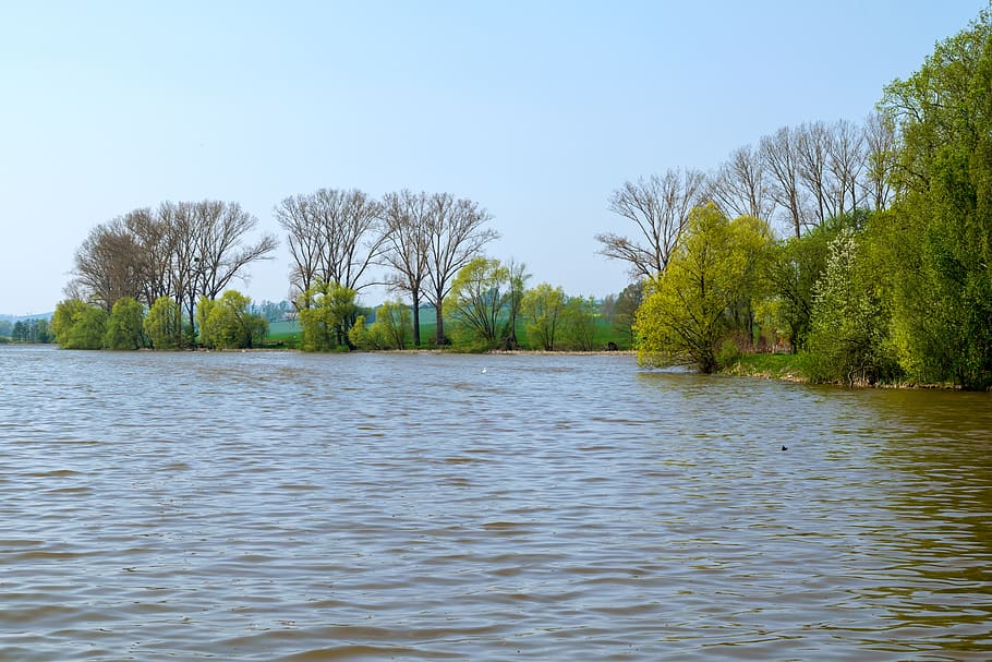 waters, river, nature, tree, reflection, landscape, lake, waterfront, HD wallpaper
