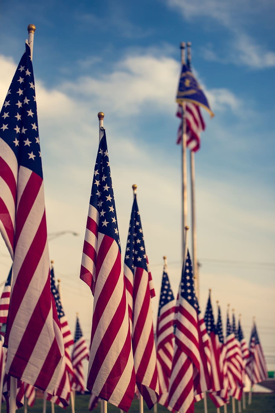 Selective Focus Photography of U.s.a. Flag on Poles, administration, HD wallpaper