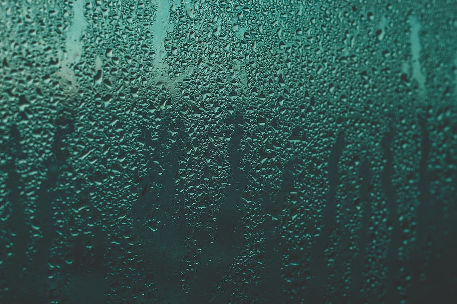 Moist Glass, rain, wet, backgrounds, full frame, drop, glass - material HD wallpaper
