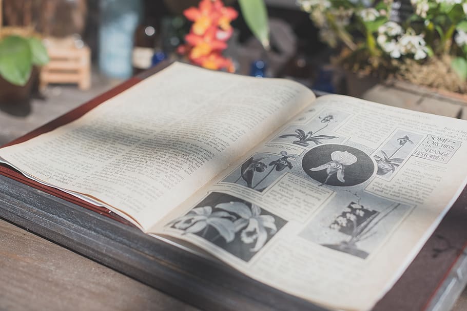 opened flower book on table, publication, close-up, text, still life HD wallpaper