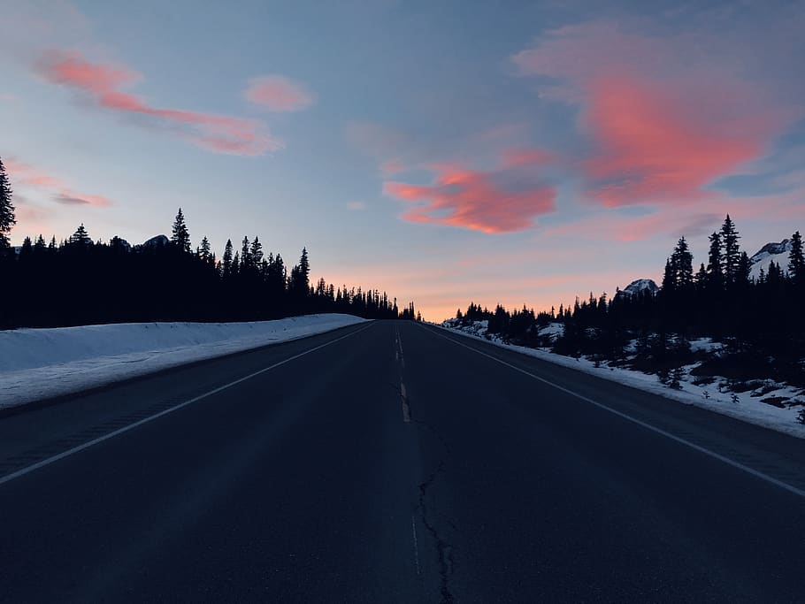 empty road with tree lines during sunset, highway, tarmac, asphalt HD wallpaper