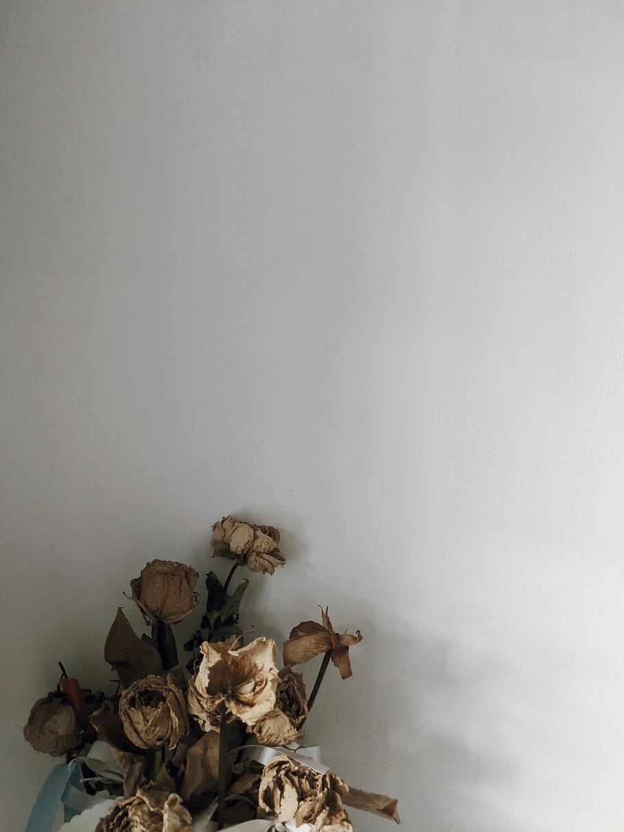 HD wallpaper: Photo of Dried Roses, bouquet, decor, dried flowers, dry,  faded | Wallpaper Flare