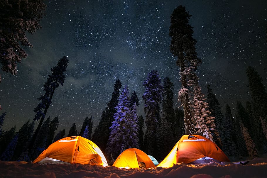 three tents under stars, sky, tree, camp, camping, campsite, forest, HD wallpaper