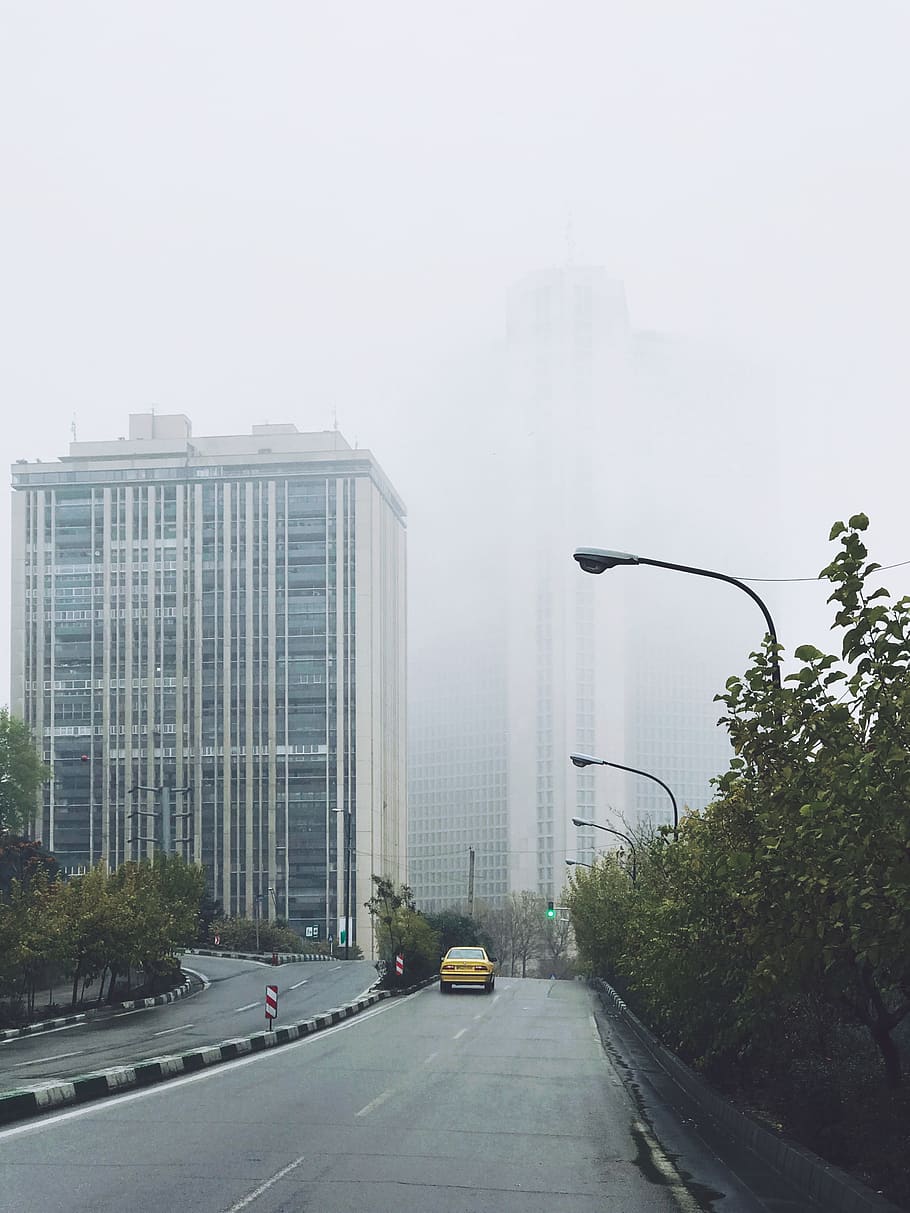 high-rise building, road, nature, fog, car, way, urban, city