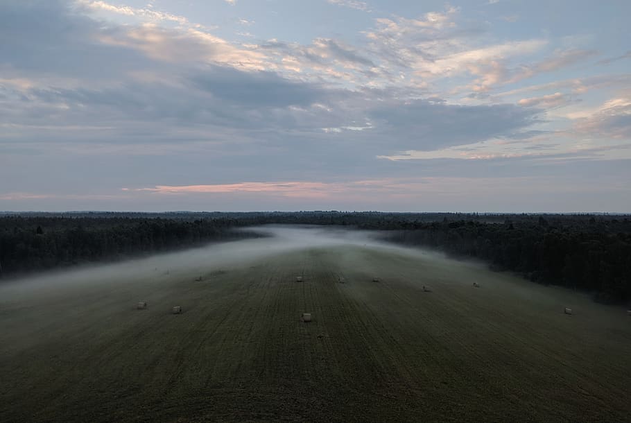 estonia, forest, trees, sunset, landscape, clouds, fog, field HD wallpaper
