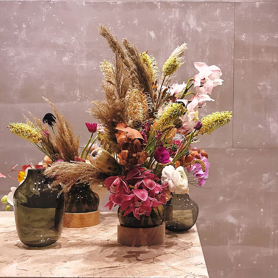 plant, flower arrangement, blossom, flower bouquet, ikebana, HD wallpaper