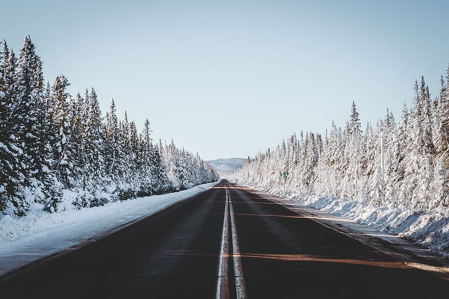 empty road in between snow covered trees at daytime, direction HD wallpaper
