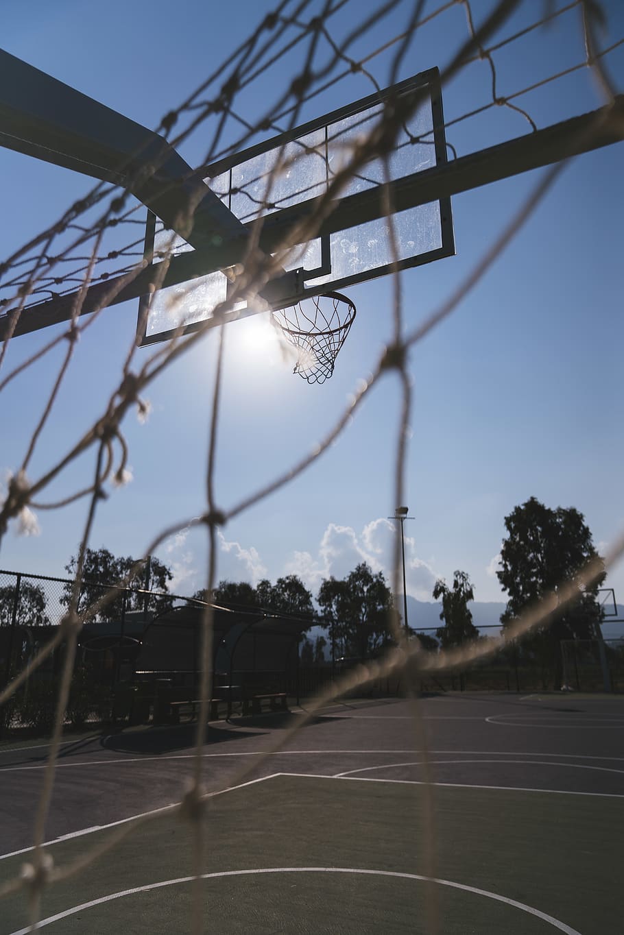 sky, sport, nature, basketball - sport, basketball hoop, tree